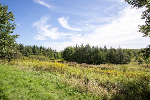 view of nature with a wooded view