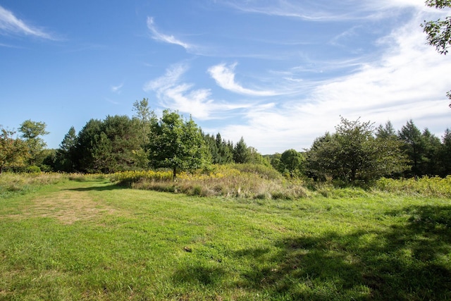 view of nature