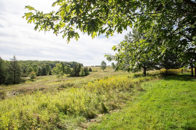 view of local wilderness with a rural view