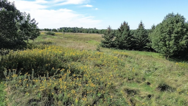 view of landscape with a rural view