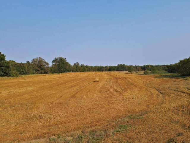 view of local wilderness featuring a rural view