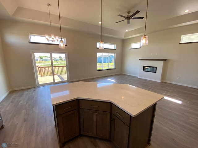 kitchen featuring a tray ceiling, wood finished floors, a healthy amount of sunlight, and open floor plan