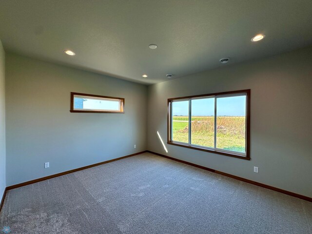 unfurnished room with carpet