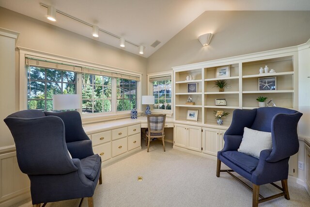 interior space featuring rail lighting, light carpet, vaulted ceiling, and a wealth of natural light