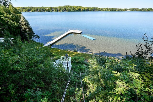 dock area with a water view