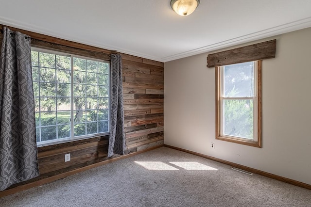 spare room with wood walls and carpet floors