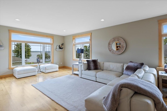 living room featuring a wealth of natural light and light wood-type flooring