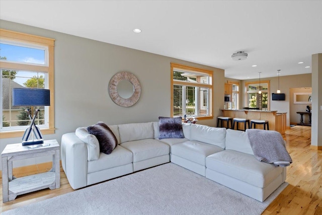 living room with light hardwood / wood-style floors and a wealth of natural light