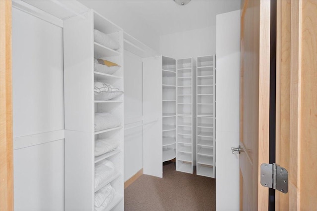 spacious closet with carpet flooring