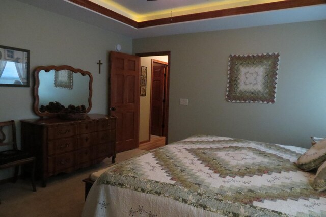 carpeted bedroom with a tray ceiling