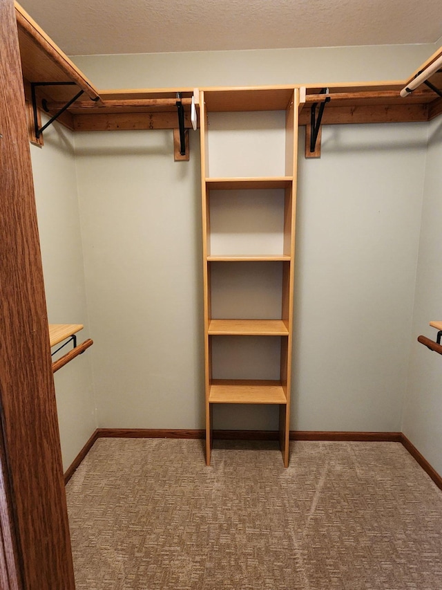 walk in closet featuring light carpet