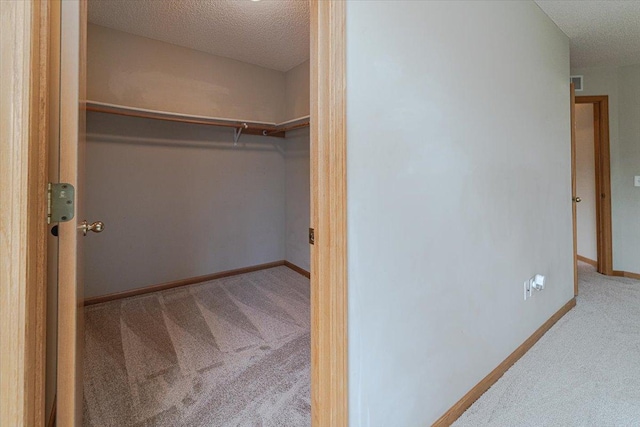 spacious closet featuring carpet flooring