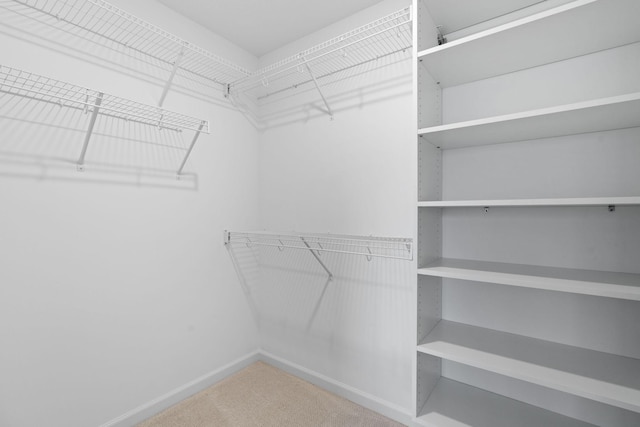 spacious closet with carpet floors