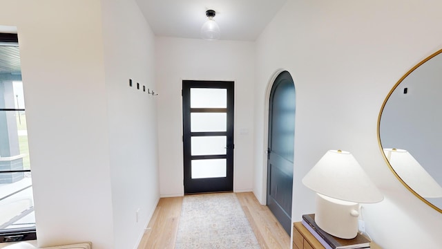 entrance foyer with light hardwood / wood-style flooring