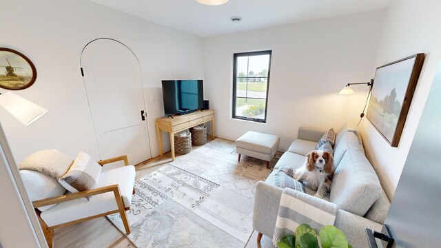 living room featuring light hardwood / wood-style flooring