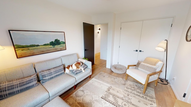 living room featuring light hardwood / wood-style flooring