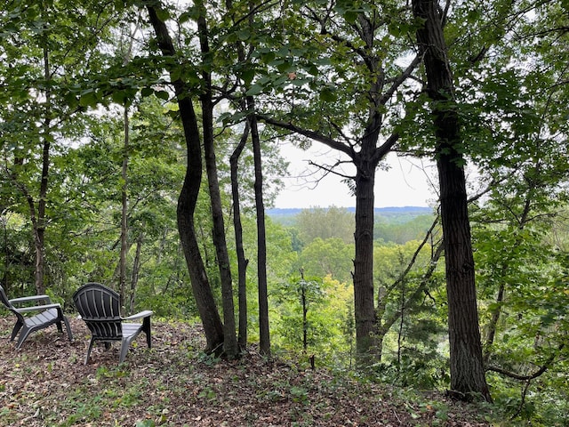 view of local wilderness