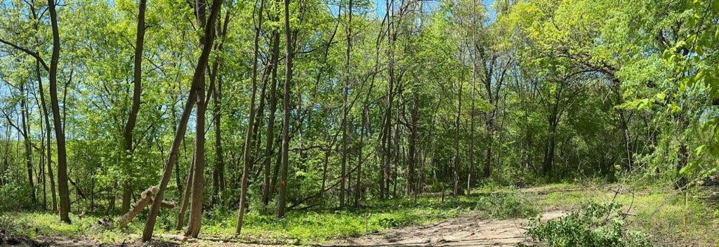 9424 Country Dr, Savage, MN 55372 - photo 2