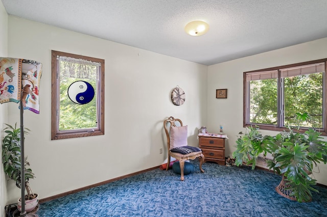 9650 Howard Lake Dr NE, Columbus, MN 55025 - photo 9