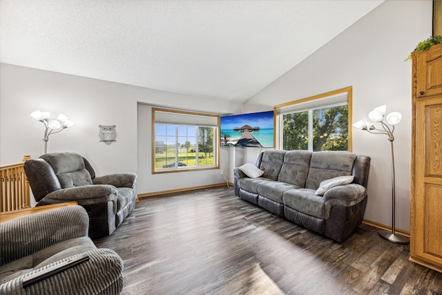 living room featuring high vaulted ceiling and dark hardwood / wood-style floors