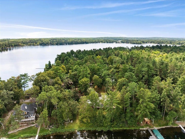 birds eye view of property with a wooded view and a water view