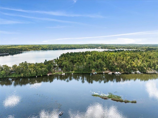 water view featuring a view of trees