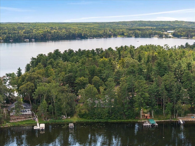 birds eye view of property featuring a wooded view and a water view