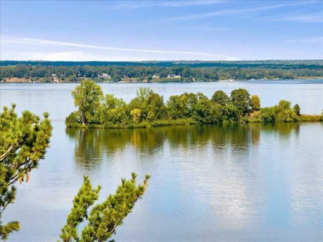 property view of water with a wooded view