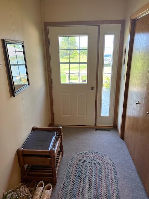 entryway with a healthy amount of sunlight and carpet flooring