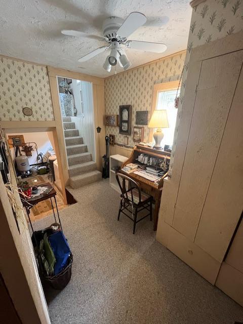 carpeted office with ceiling fan and a textured ceiling