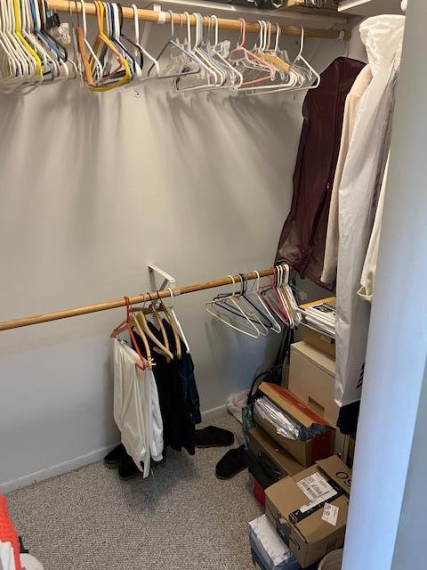 walk in closet featuring carpet floors