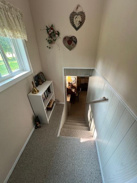 staircase with carpet and wooden walls