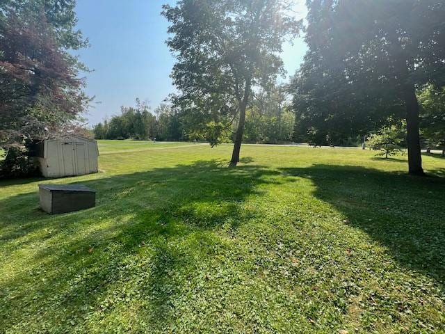 view of yard featuring a storage unit