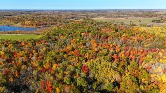 TBD Skyview St, Brook Park MN, 55007 land for sale