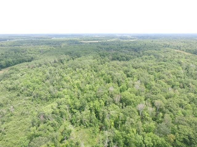 TBD Skyview Street, Brook Park, MN 55007 - photo 1