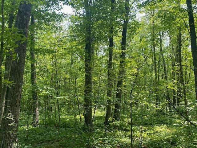 TBD Skyview Street, Brook Park, MN 55007 - photo 2
