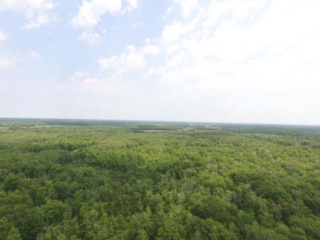 TBD Skyview Street, Brook Park, MN 55007 - photo 7