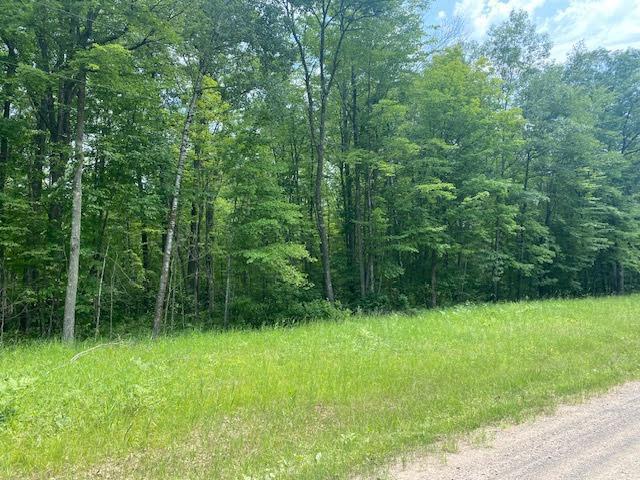 TBD Skyview Street, Brook Park, MN 55007 - photo 8