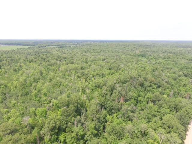 TBD Skyview Street, Brook Park, MN 55007 - photo 11