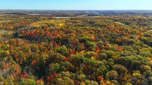 TBD Skyview Street, Brook Park, MN 55007 - photo 13