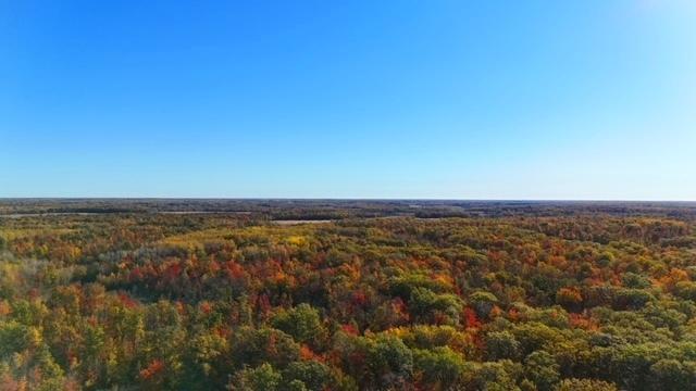 TBD Skyview Street, Brook Park, MN 55007 - photo 16
