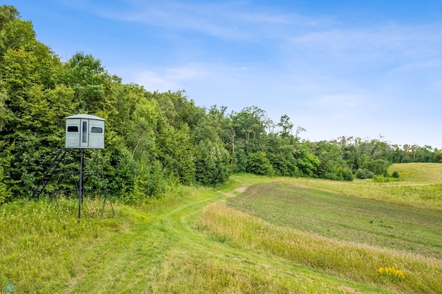 view of local wilderness