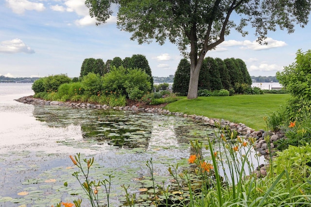 view of water feature