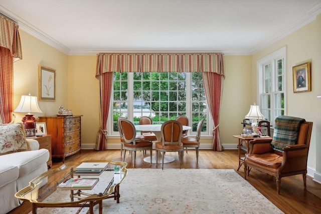 living area featuring wood finished floors, baseboards, and ornamental molding