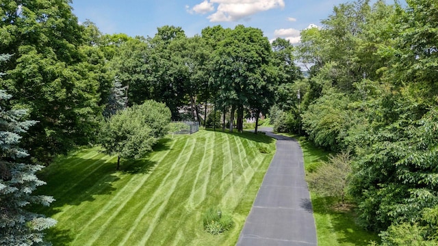 2670 Woolsey Ln, Woodland, MN 55391 - view of home's community featuring a yard