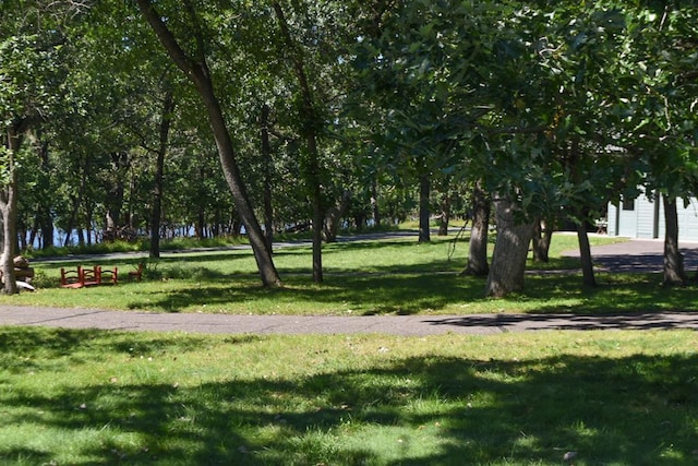 view of community featuring a lawn and a garage