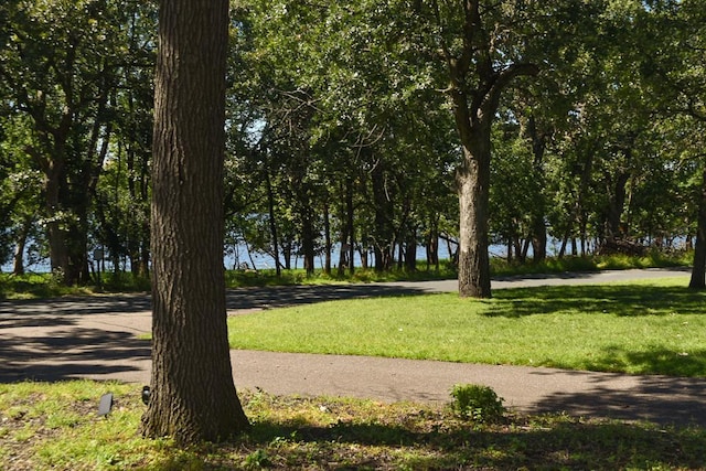 view of property's community featuring a lawn