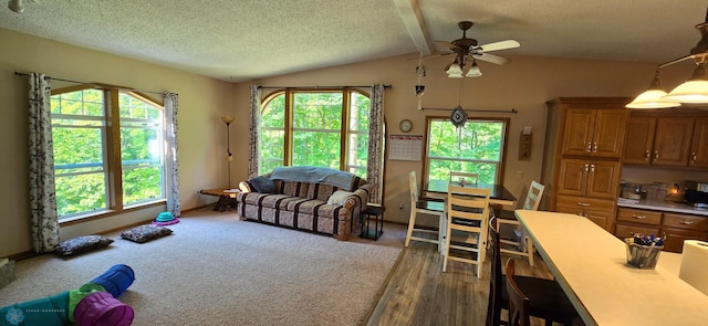 living room featuring dark wood-type flooring, vaulted ceiling, a textured ceiling, and ceiling fan