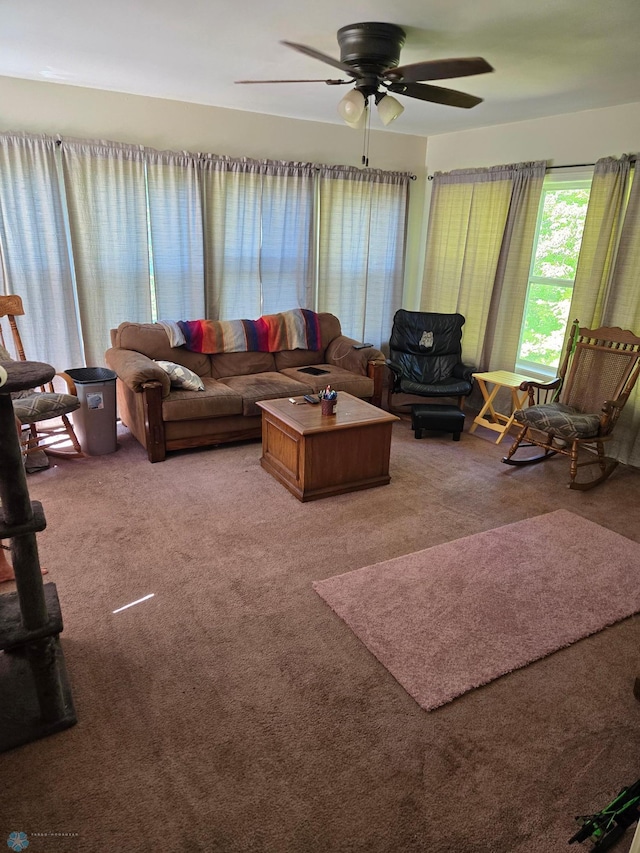 living room featuring ceiling fan and carpet floors