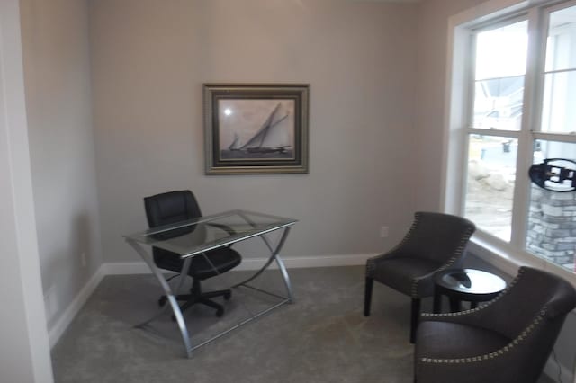 office area featuring dark colored carpet